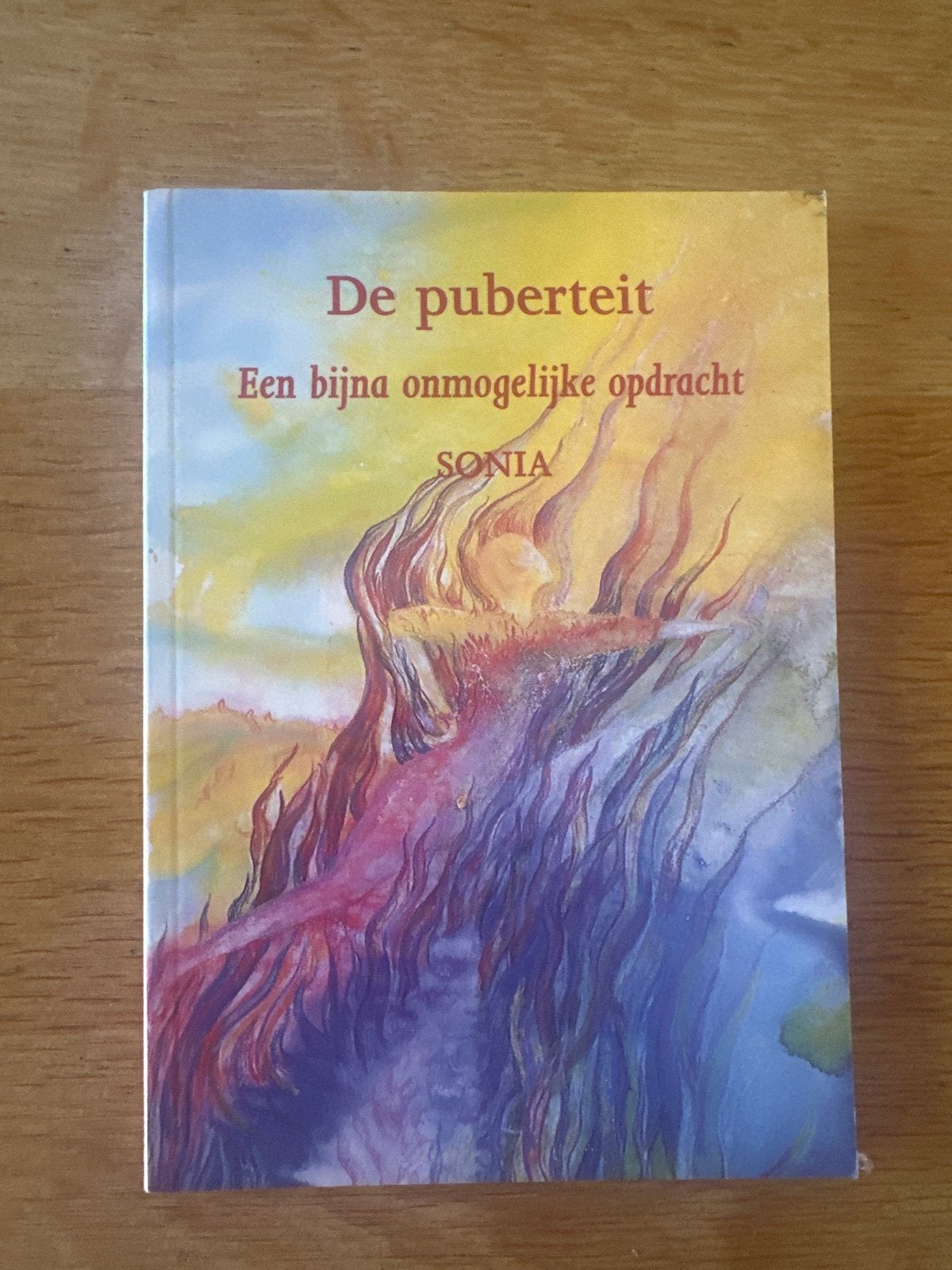 De puberteit: Een bijna onmogelijke opdracht - Sonia, Ophalen of Verzenden, Gelezen, Ontwikkelingspsychologie