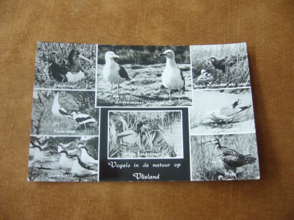 VLIELAND  = 8 LUIK, Ophalen of Verzenden, 1960 tot 1980, Gelopen, Waddeneilanden