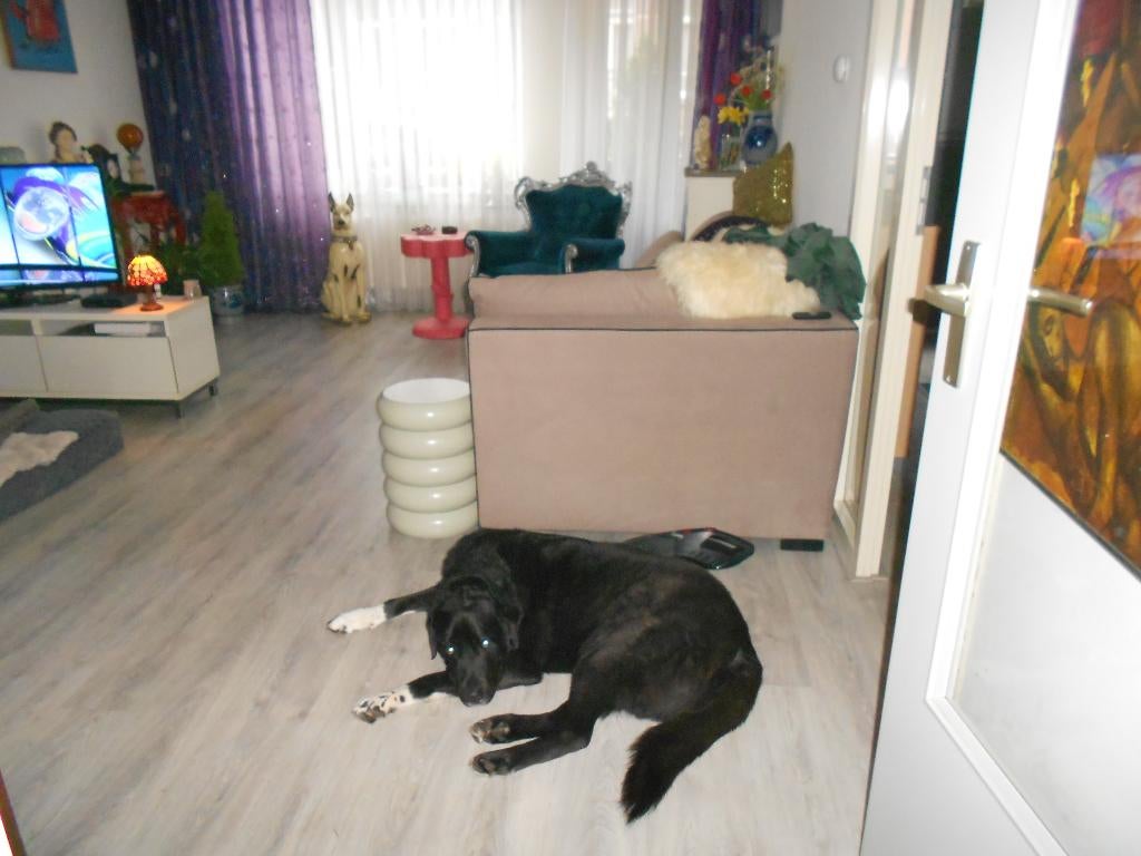 Woningruil, Huizen en Kamers, Woningruil, 45 m², 2 kamers, Amsterdam