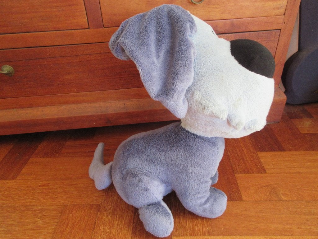 Leuke blauwe hond knuffel - Zo goed als nieuw, Gebruikt, Blauw, Middelgroot (20 tot 80 cm), Hond