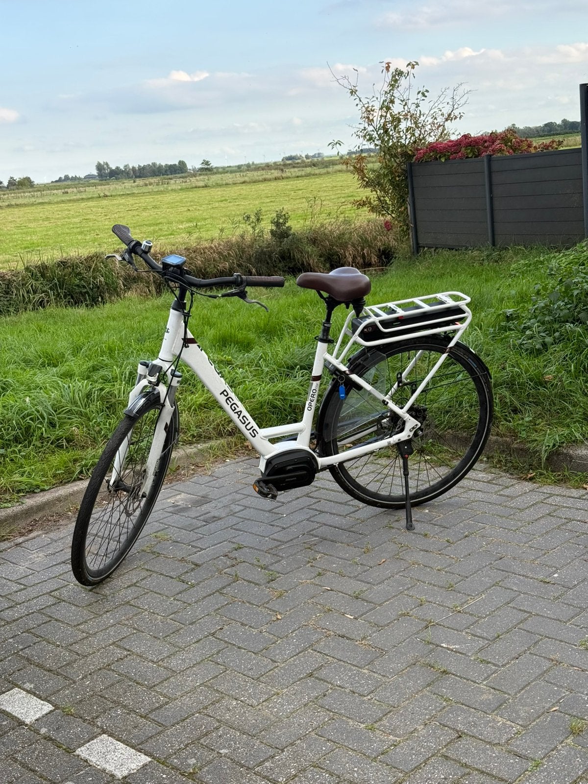 Pegasus elektrische fiets, Gebruikt, 50 km per accu of meer, 55 tot 59 cm, Ophalen