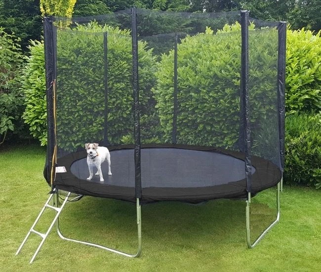 Trampoline Zwart - Rond: 305cm (nieuw in doos), Ophalen, Nieuw