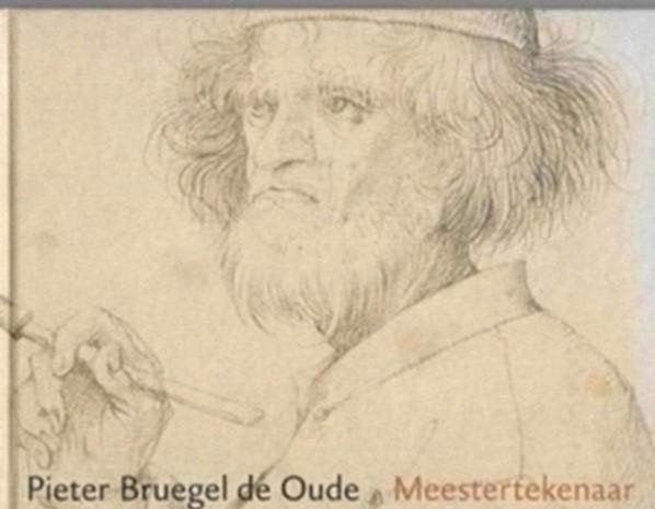 Pieter Bruegel De Oude Meestertekenaar, Boeken, Kunst en Cultuur | Beeldend, Ophalen of Verzenden, Zo goed als nieuw, Schilder- en Tekenkunst
