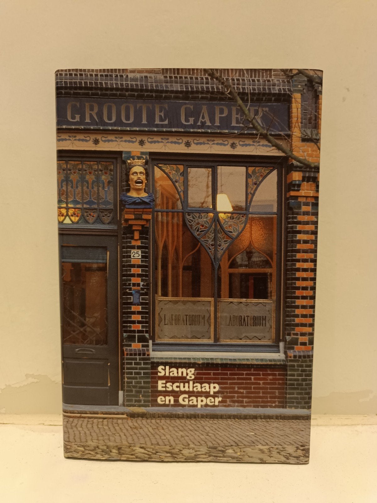 Slang, Esculaap en Gaper - Boek over apotheken, Gelezen, Ophalen of Verzenden, Ton Schoenmakers - Jorien Jas, Nederland