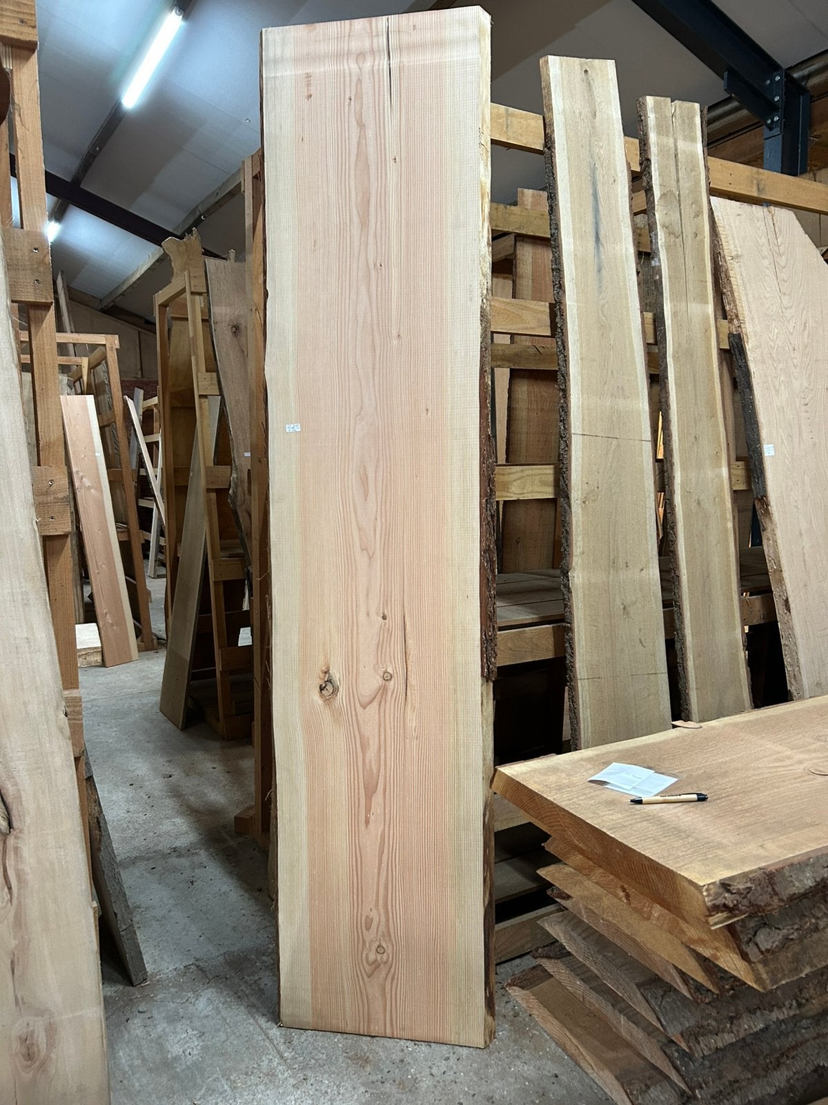 Nr 252/ douglas boomstamblad 5x55x260cm, Ophalen, Nieuw, 250 cm of meer, Planken