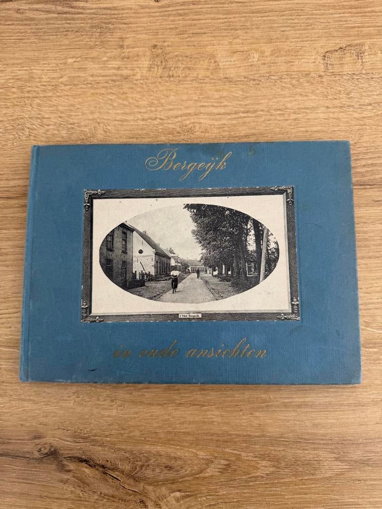 Bergeijk in oude ansichten, Boeken, Ophalen of Verzenden, 20e eeuw of later, Gelezen