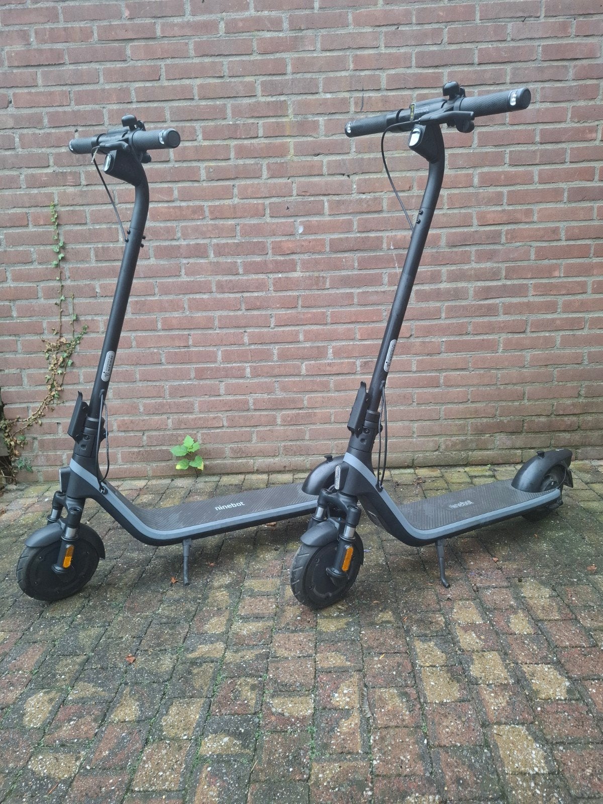 Segway Ninebot Elektrische Step, Ophalen, Nieuw, Elektrische step (E-scooter), Segway Ninebot