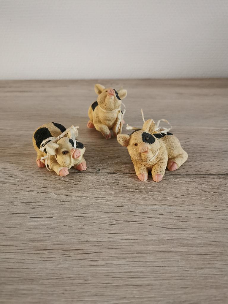 Varkens met koeienvlek, Ophalen of Verzenden, Zo goed als nieuw, Dier