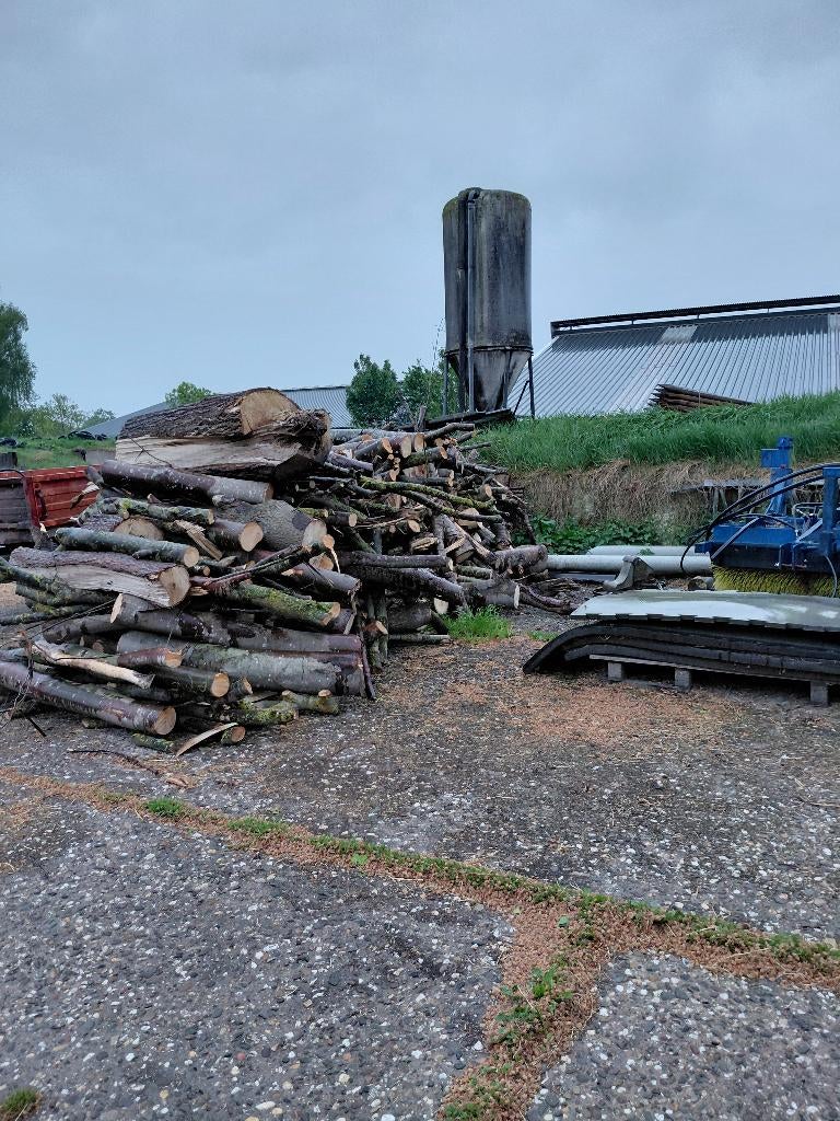 Kachelhout, hout op stam, 6 m³ of meer, Ophalen, Overige houtsoorten, Stammen