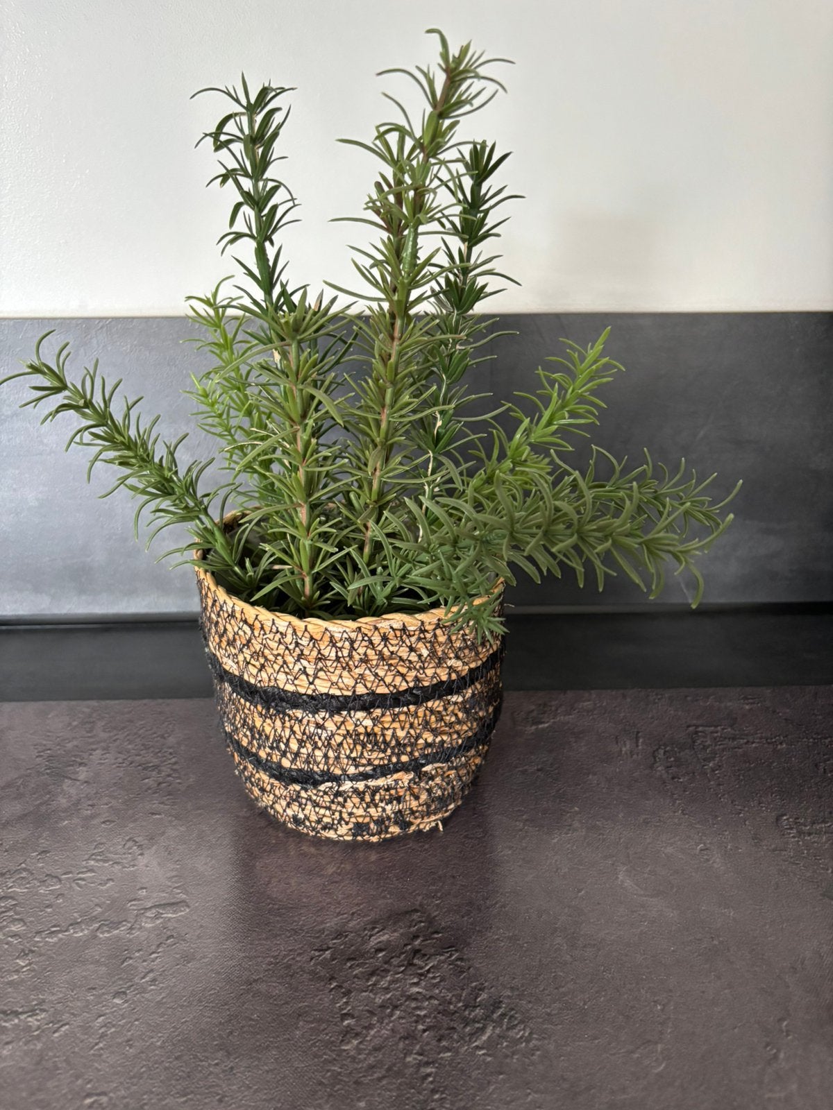 Kunst plant inc mandje, Ophalen of Verzenden