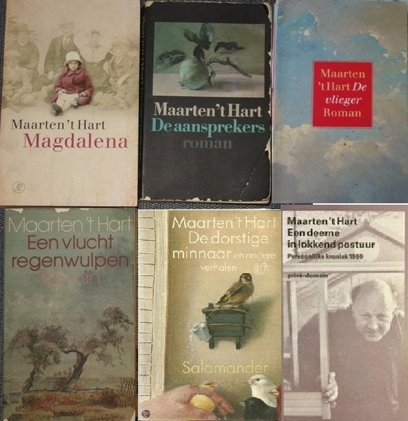6x Maarten 'Hart, o.a. Magdalena, de aansprekers, ...., Ophalen of Verzenden, Gelezen, Maarten 't Hart, Nederland
