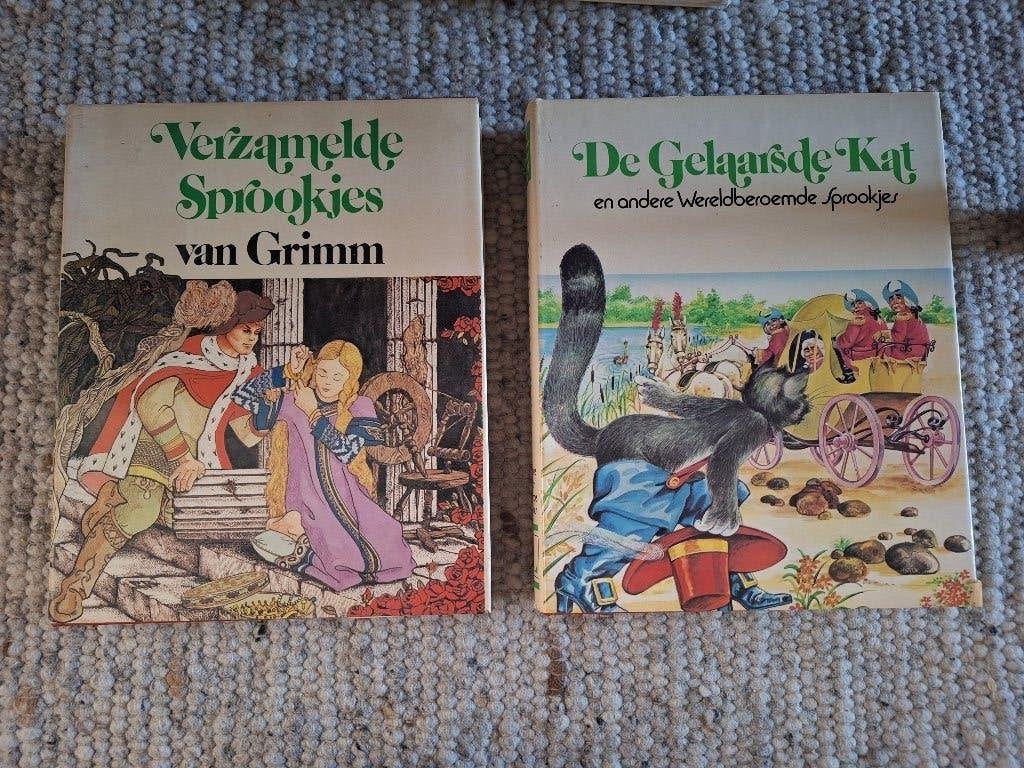 De gelaarsde kat en andere wereldberoemde sprookjes, Ophalen of Verzenden, Gelezen