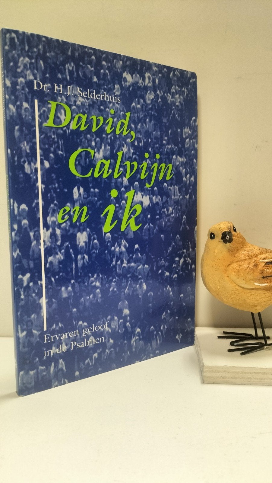 Selderhuis, Dr. H.J.; David, Calvijn en ik, Ophalen of Verzenden, Gelezen, Christendom | Protestants