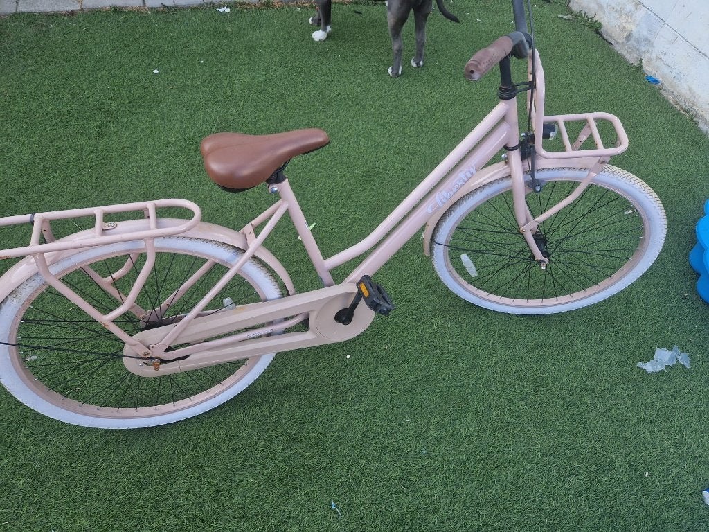 Roze kinderfiets met mandje en bagagedrager, 20 inch of meer, Gebruikt, Ophalen of Verzenden, Onbekend