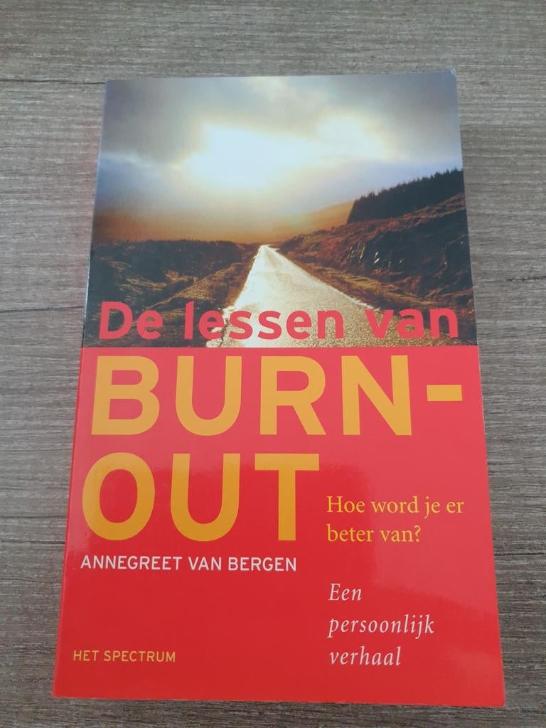 De lessen van BURN-OUT - Annegreet van Bergen, Ophalen of Verzenden, Gelezen