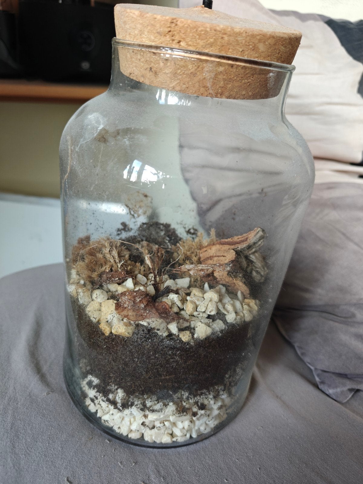 Glazen pot met kurken deksel (met of zonder inhoud), Ophalen, Gebruikt, Overige kleuren, Glas