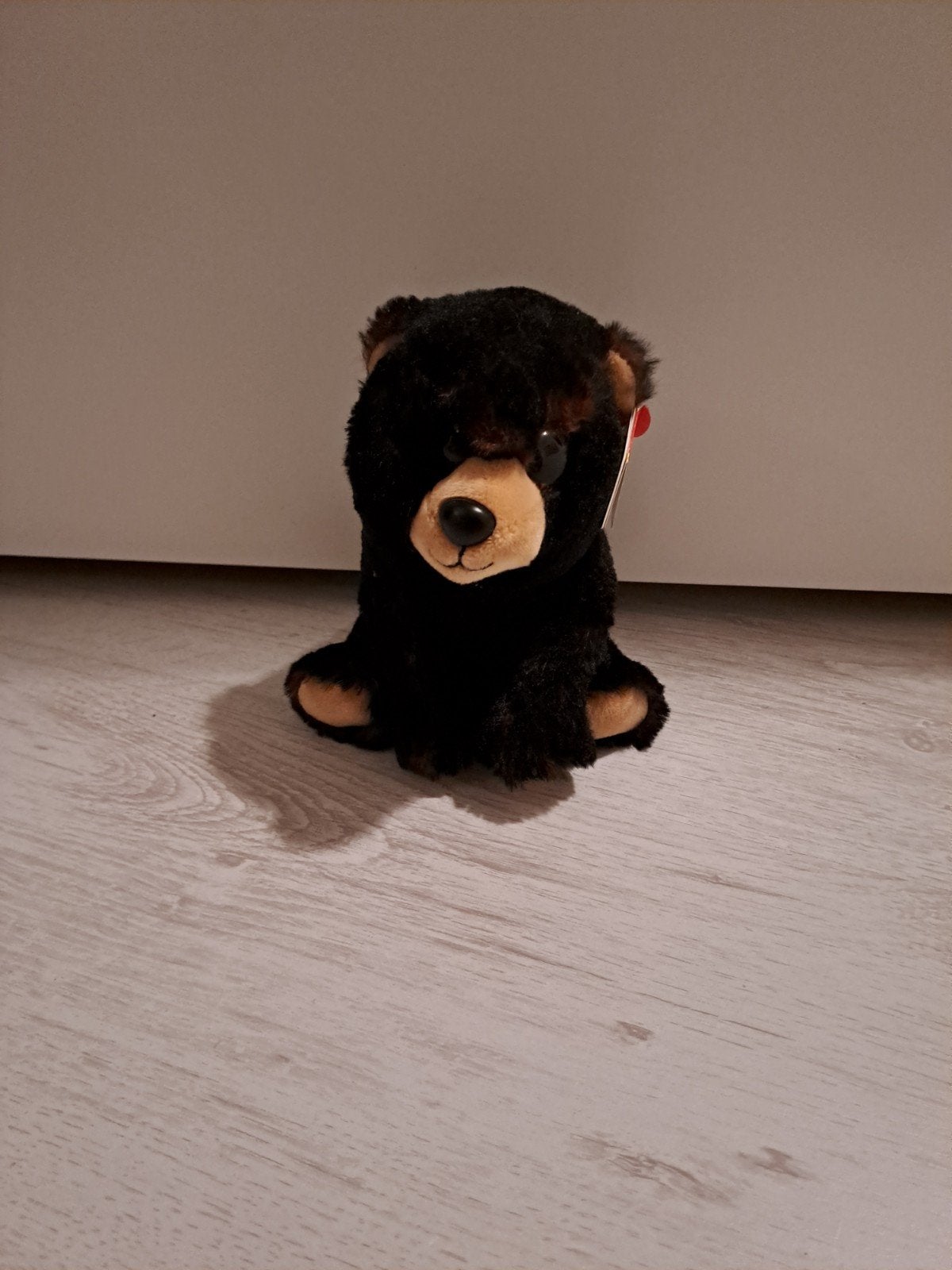 Ty Beanie Babies Kodi de Zwarte Beer Knuffel met Label, Overige karakters, Beer, Nieuw, Zwart
