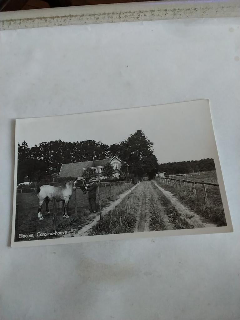 ELLECOM.  CAROLINA-HOEVE. 1958, Ophalen of Verzenden, 1940 tot 1960