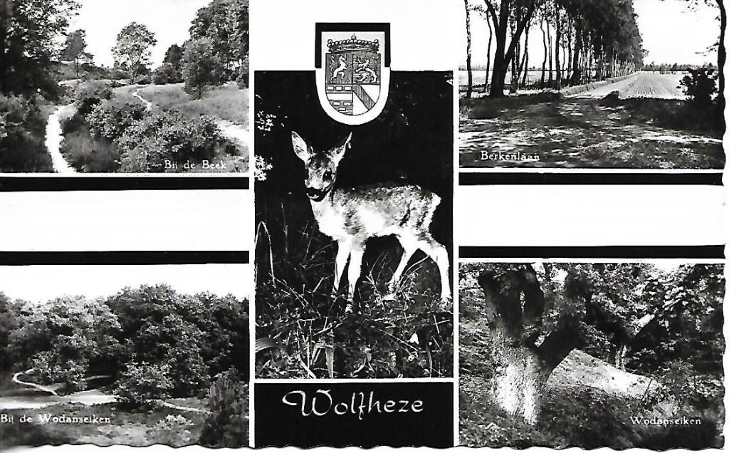 Wolfheze- -5-luik., Ophalen of Verzenden, 1960 tot 1980, Ongelopen, Gelderland