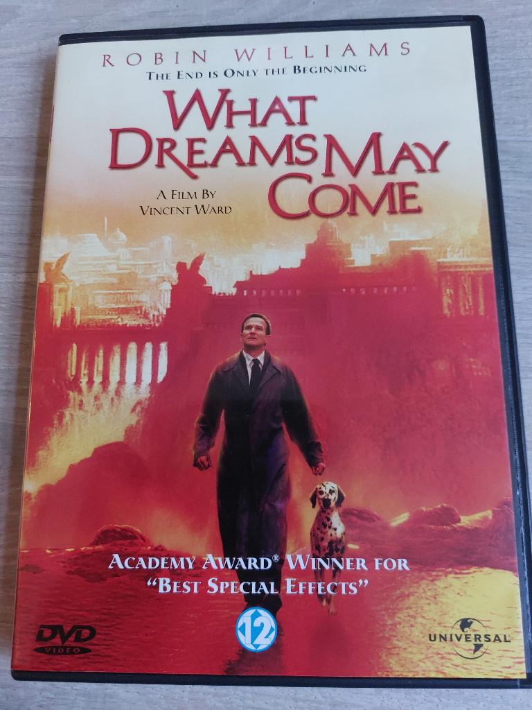 DVD What Dreams May Come (1998), Cd's en Dvd's, Dvd's | Drama, Gebruikt, Vanaf 12 jaar, Ophalen