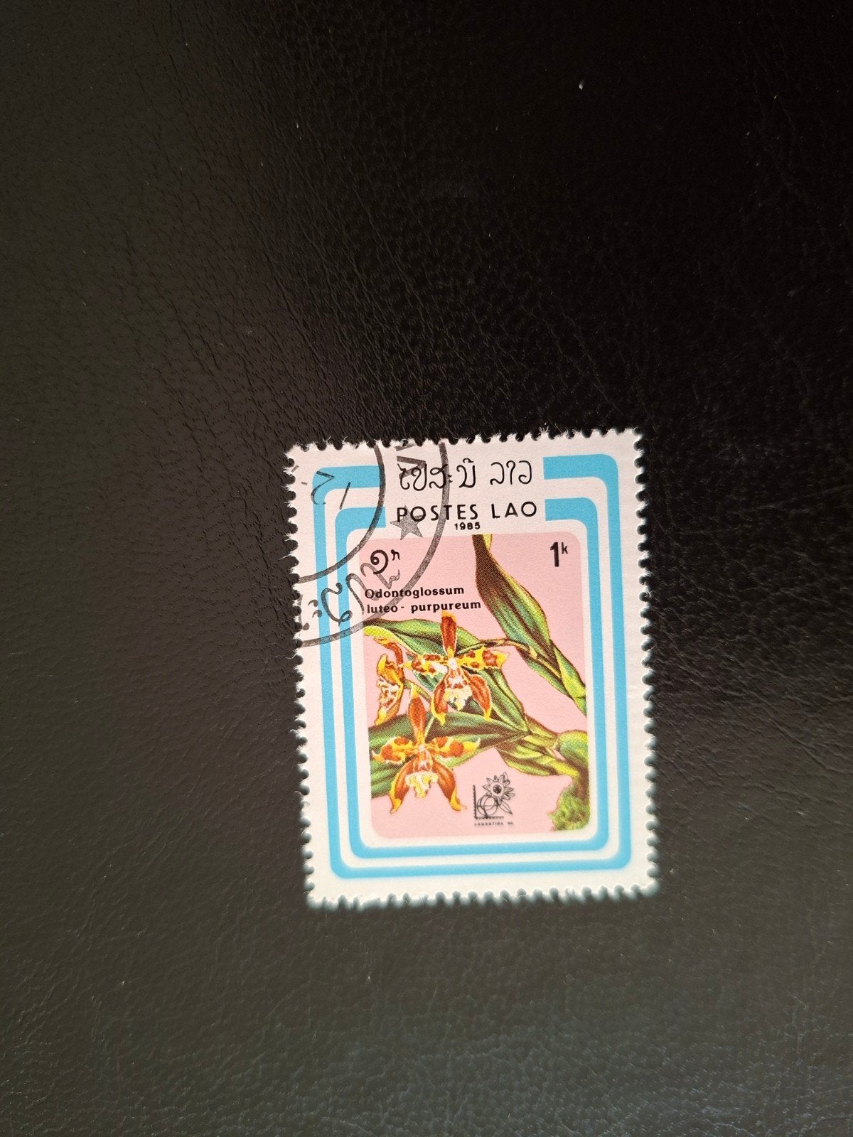 Bloemen.  Laos, Ophalen of Verzenden, Dier of Natuur