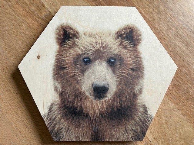 Hexagon Hout Sisi & Seb - Beertje wall art, Ophalen, Minder dan 50 cm, Nieuw, Print