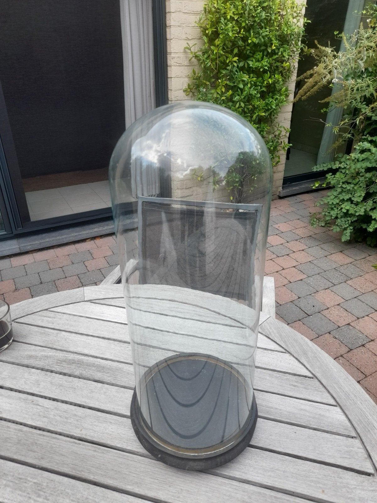 hoge glazen stolp op voet, Ophalen of Verzenden