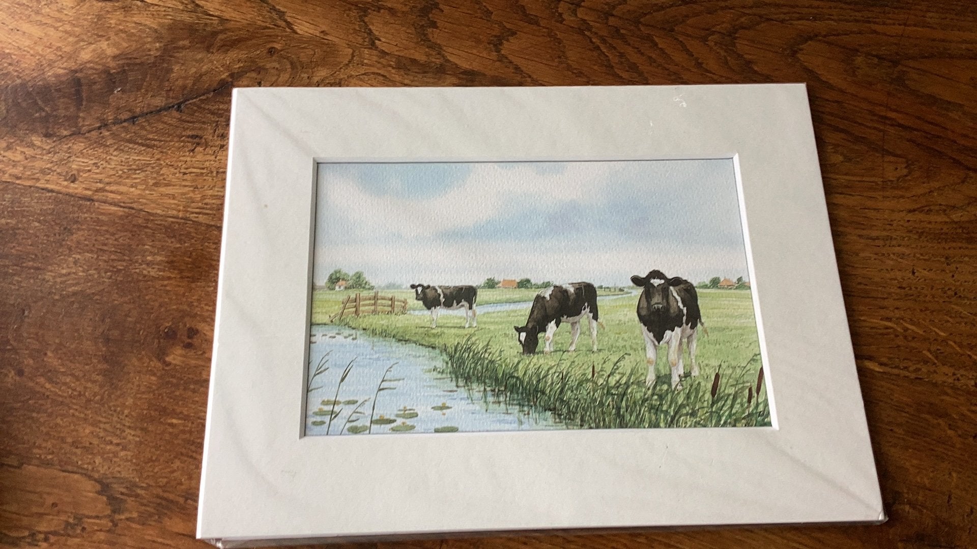 Prent koeien Wiebe van der Zee. 11x17 Kader 18x24, Antiek en Kunst, Ophalen of Verzenden, Print