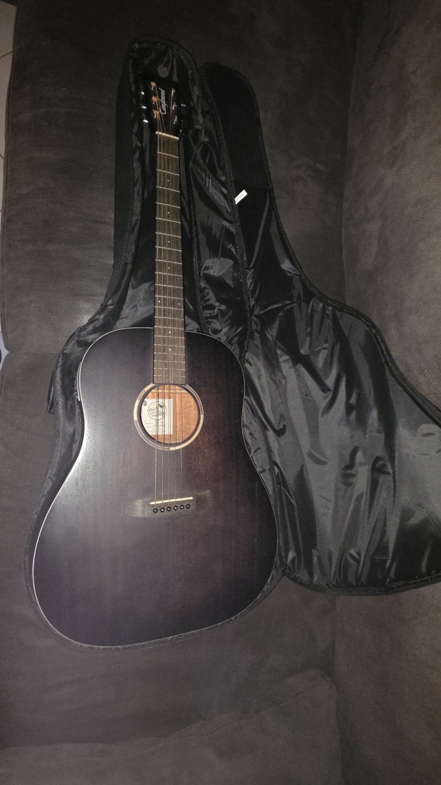 Tanglewood Blackbird Westerngitaar met element en hoes