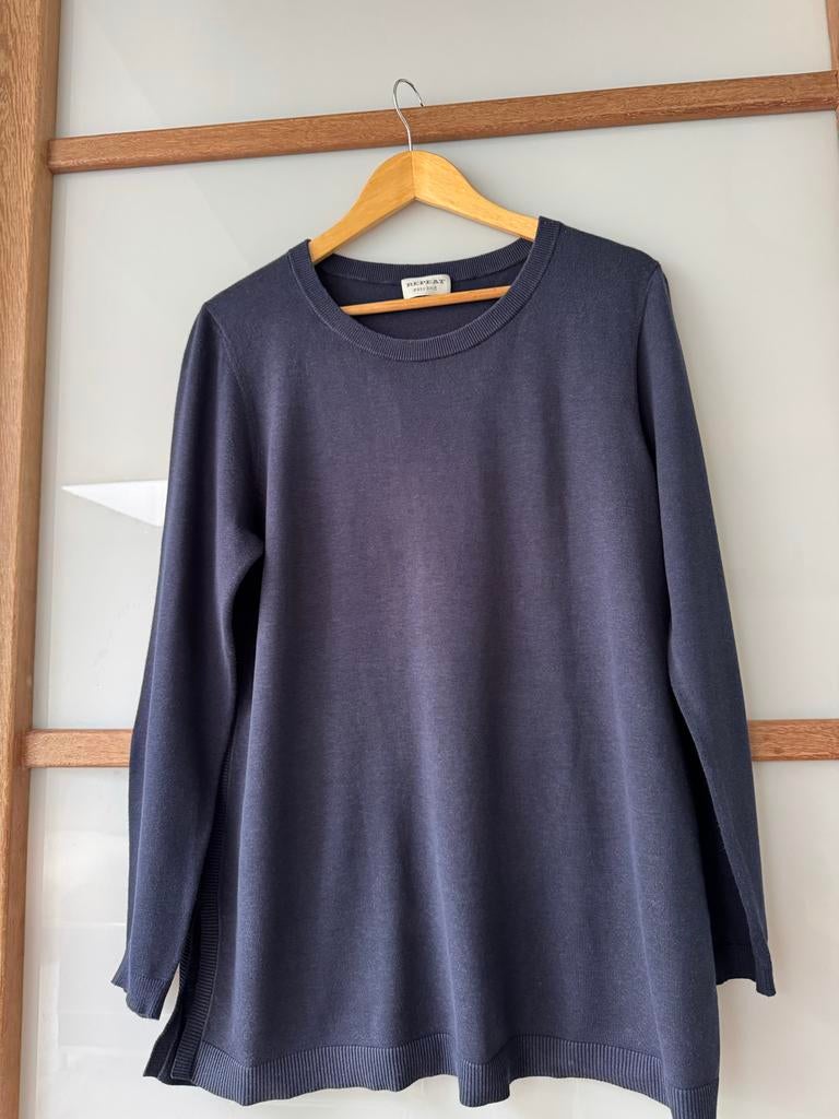 Mooie zomertrui van Repeat, Kleding | Dames, Truien en Vesten, Gedragen, Maat 42/44 (L), Blauw, Ophalen of Verzenden