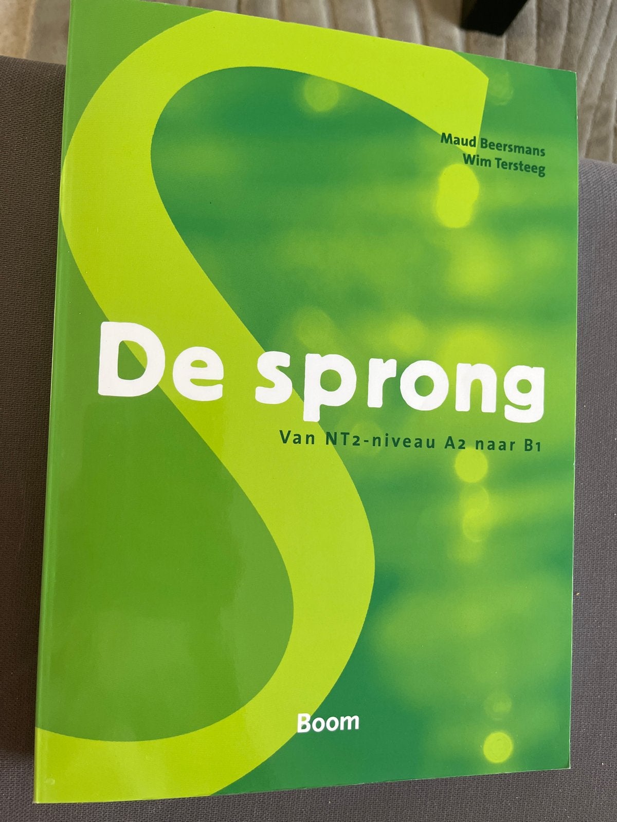 De sprong: Van NT2-niveau A2 naar B1 - Nederlands leren, Boeken, Ophalen of Verzenden, Alpha, Zo goed als nieuw, Overige niveaus