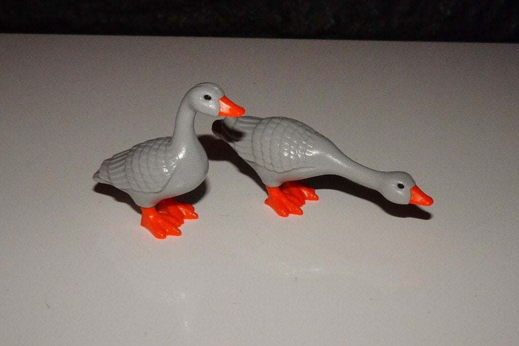 12 - Dieren ganzen 3175, Ophalen of Verzenden