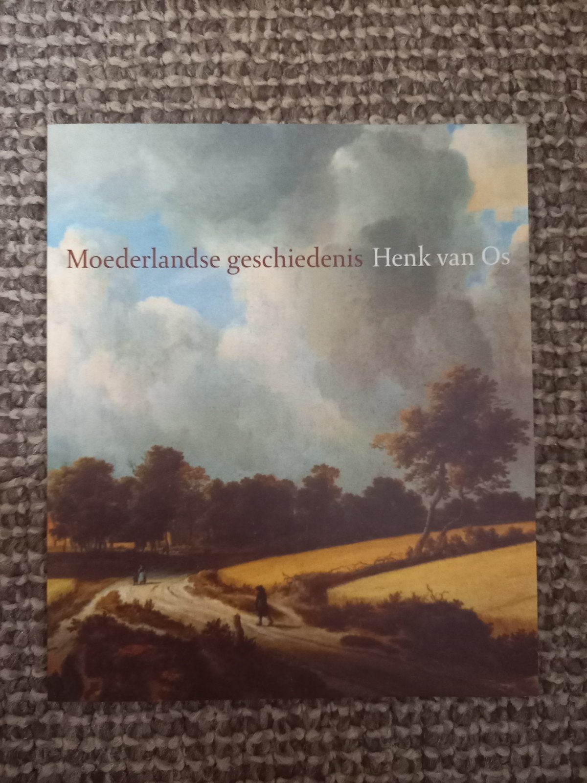 w02vMoederlandse geschiedenis - Henk van Os, Ophalen of Verzenden, 20e eeuw of later, Zo goed als nieuw, Henk van Os