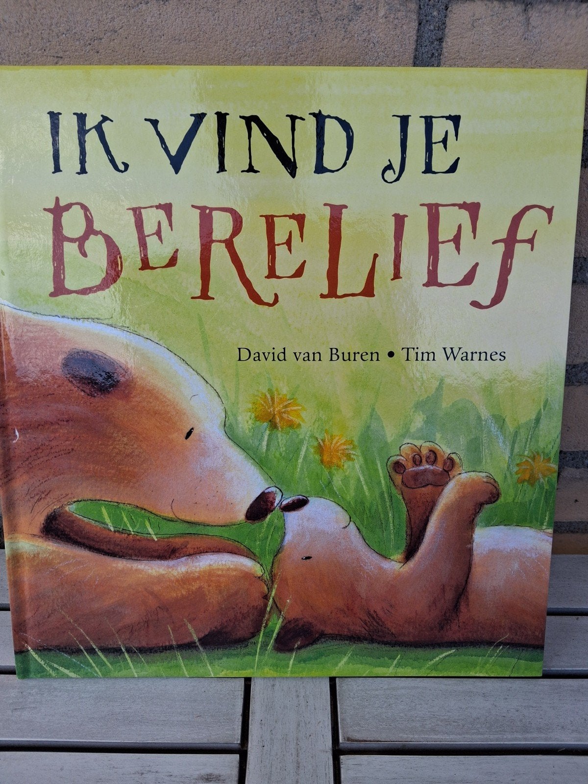 Ik vind je Berelief - David van Buren & Tim Warnes, Ophalen of Verzenden, Fictie algemeen
