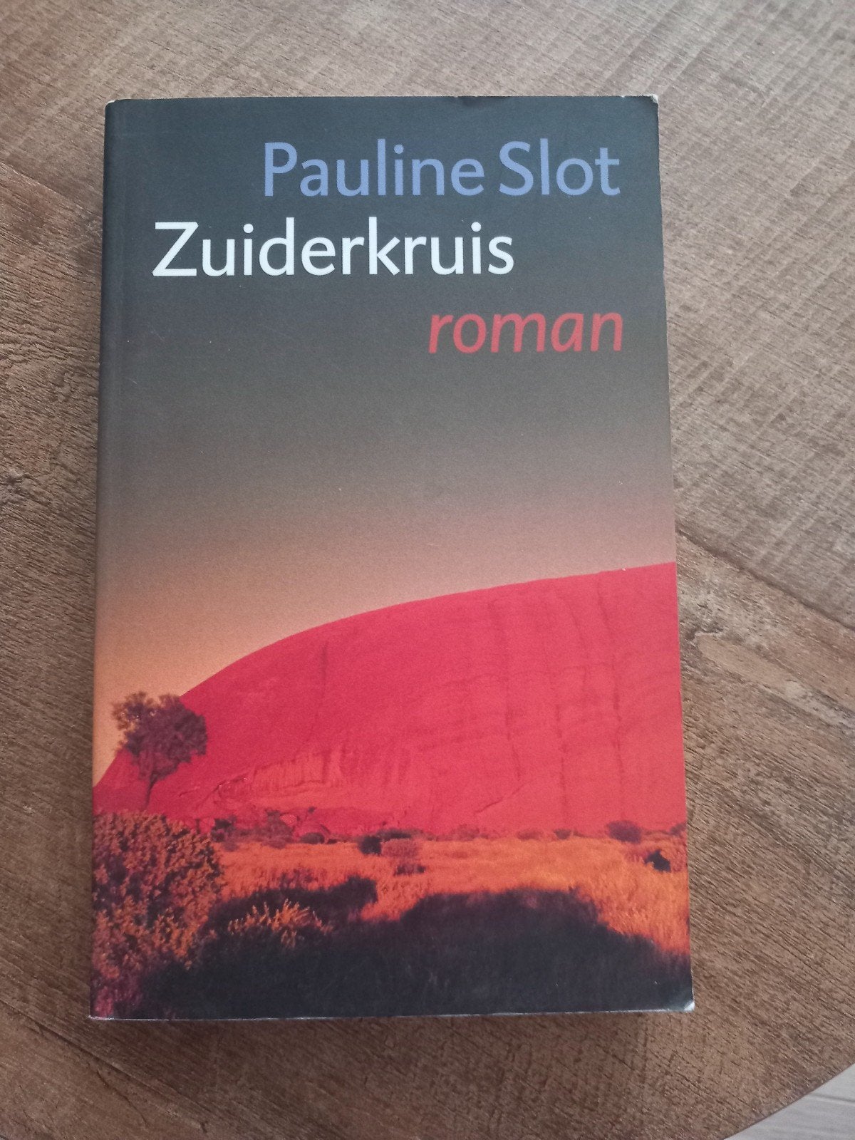 Pauline Slot - Zuiderkruis (roman), Ophalen of Verzenden, Zo goed als nieuw, Pauline Slot