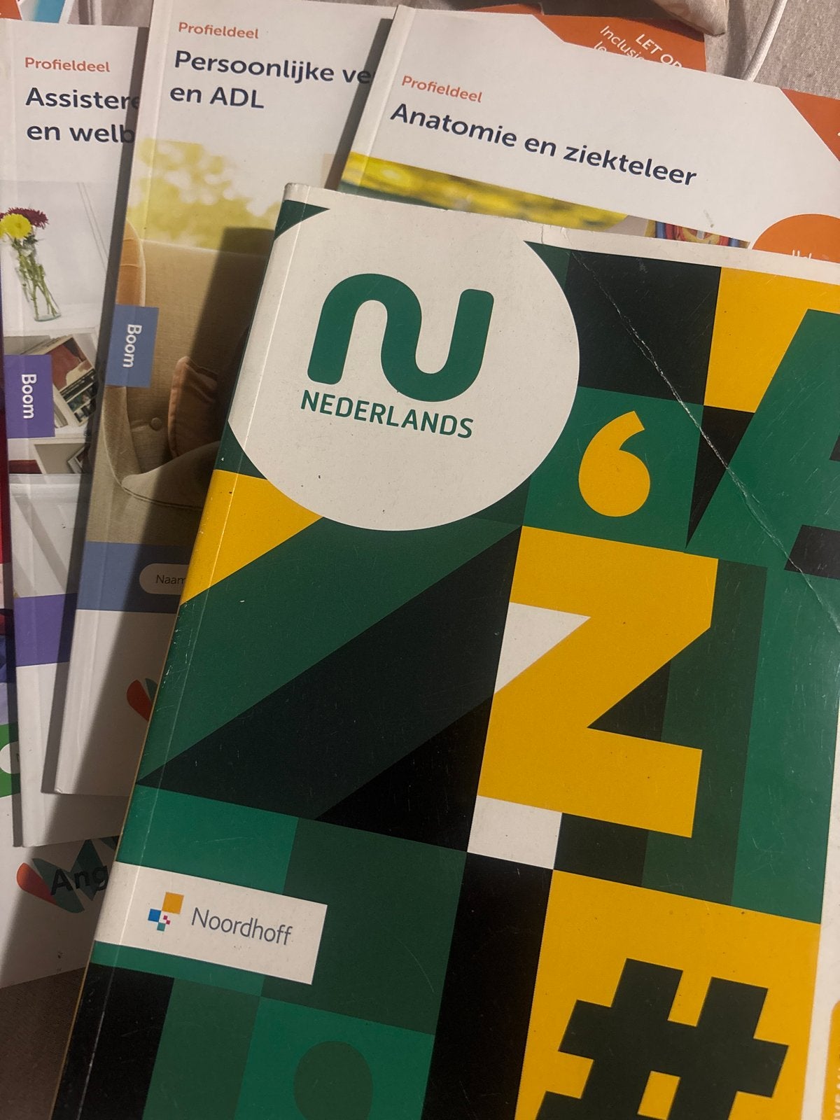 Complete Boekenset MBO Helpende Zorg en Welzijn Niveau 2, Ophalen of Verzenden, Nieuw, Overige niveaus, Overige vakken