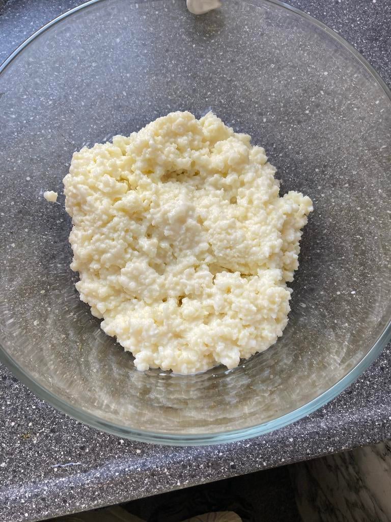 Verse melk Kefir korrels, Diversen, Levensmiddelen, Ophalen of Verzenden