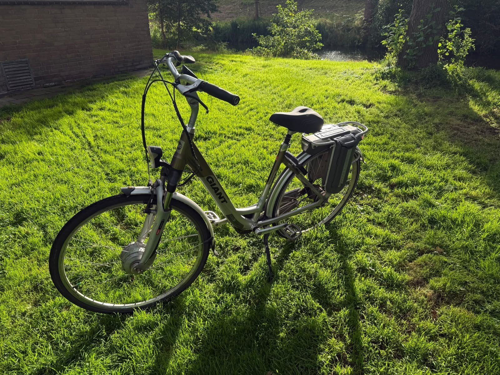 Elektrische Giant Twist Go, 47 tot 51 cm, Ophalen of Verzenden, Zo goed als nieuw, Overige merken