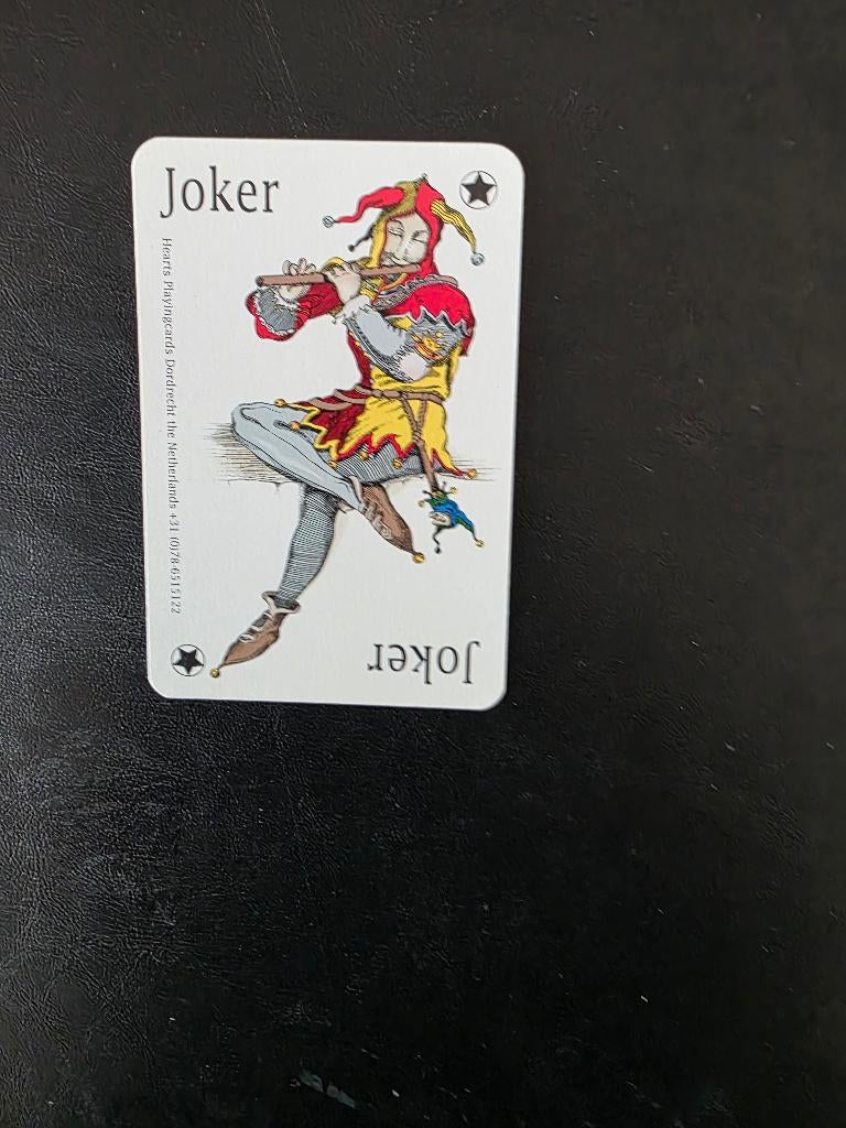 Joker Blokfluit, Ophalen of Verzenden, Zo goed als nieuw, Joker(s)