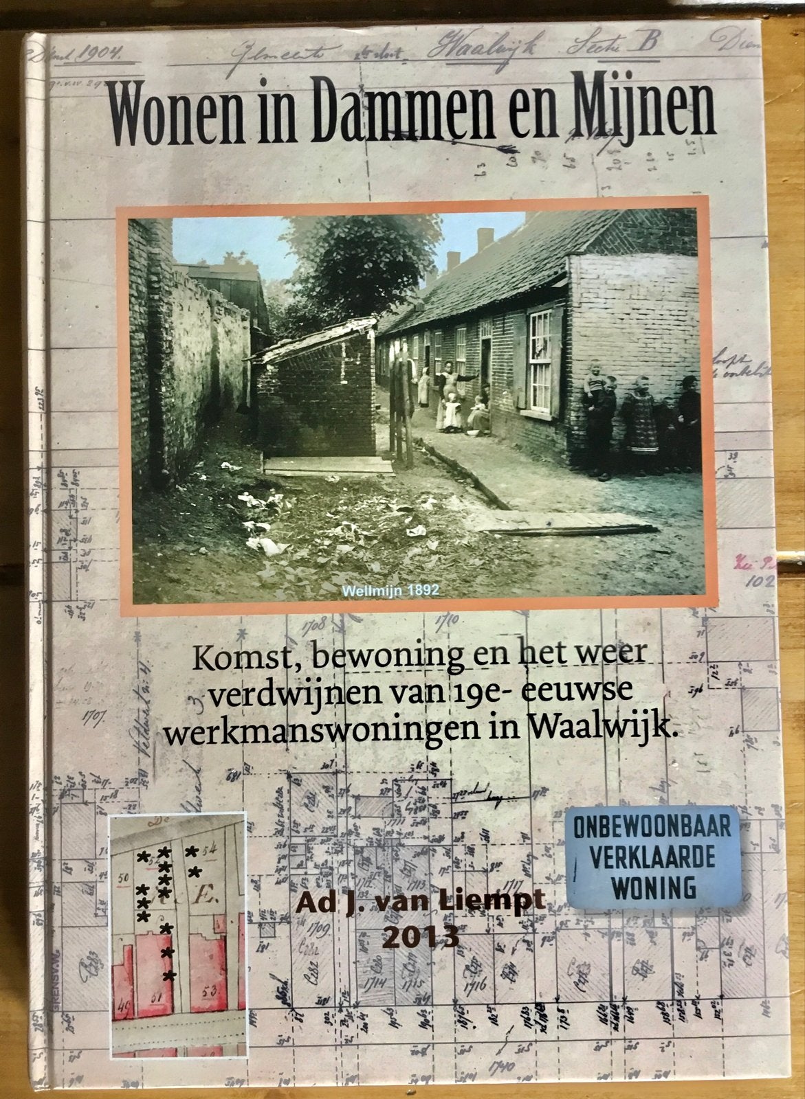 WONEN TUSSEN DAMMEN EN MIJNEN - WERKMANSWONINGEN IN WAALWIJK, Ophalen of Verzenden, 20e eeuw of later, Gelezen