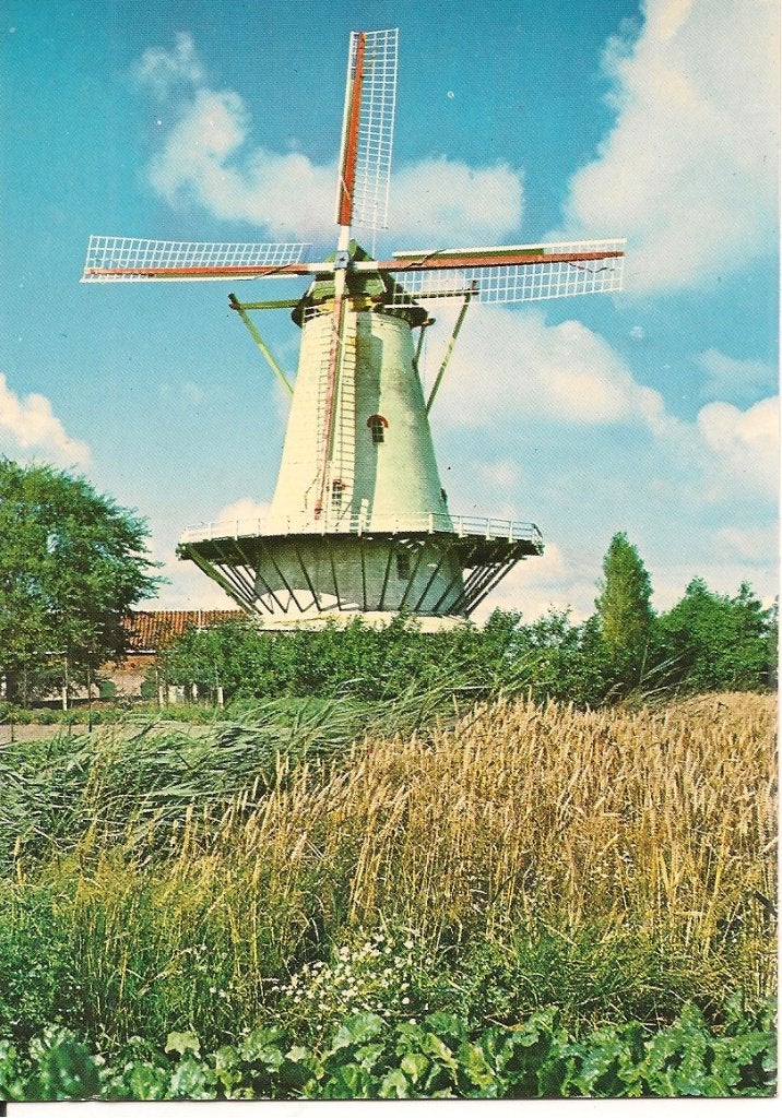 Ansichtkaart Korenmolen 'De Graanhalm' Burgh-Haamstede, Ophalen of Verzenden, 1960 tot 1980, Ongelopen, Zeeland