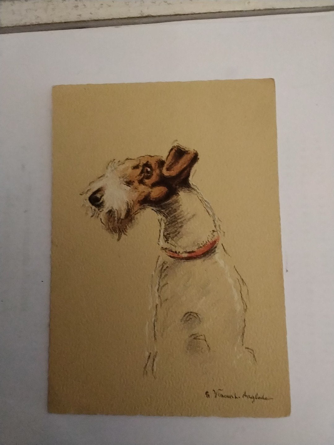 Vintage Ansichtkaart Fox Terriër - 'Fox à poils durs', Verzamelen, Ophalen of Verzenden, Voor 1920, Gelopen