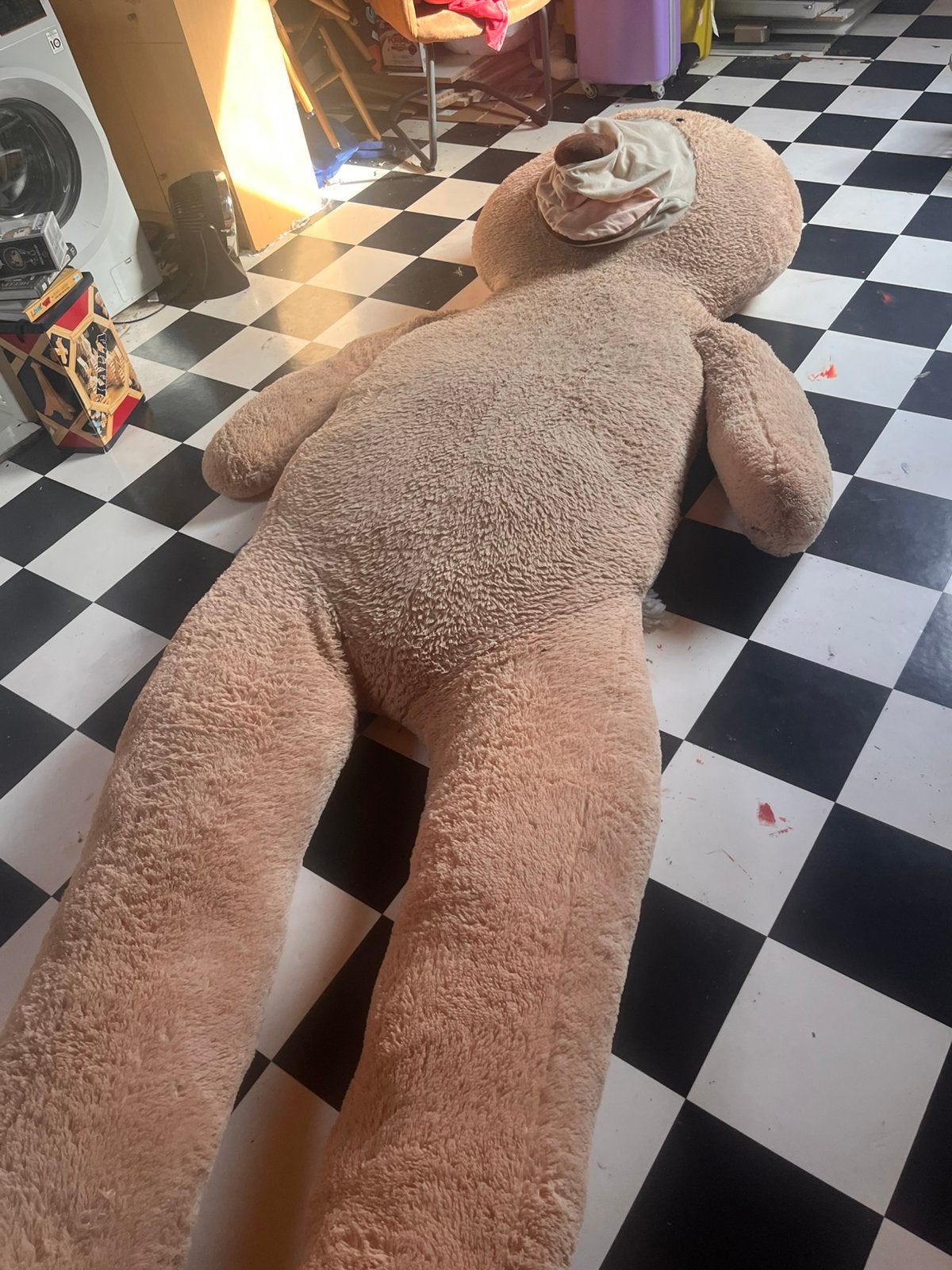Knuffelbeer 3 meter, Ophalen, Bruin, Beer, Groot (groter dan 80 cm)