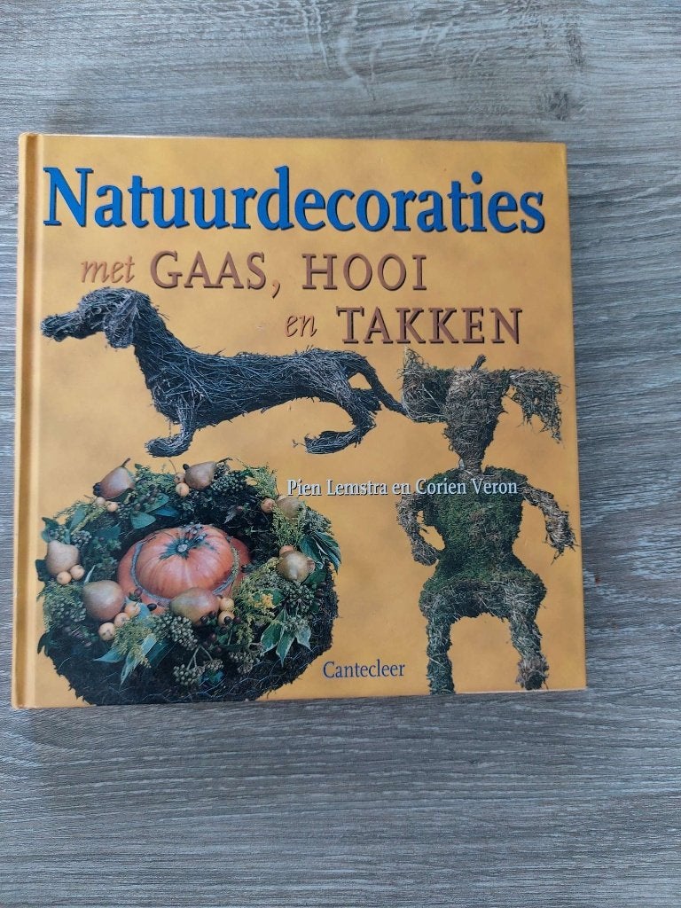 Pien Lemstra   - Natuurdecoraties met gaas hooi en takken, Ophalen of Verzenden, Zo goed als nieuw, Overige onderwerpen, Pien Lemstra