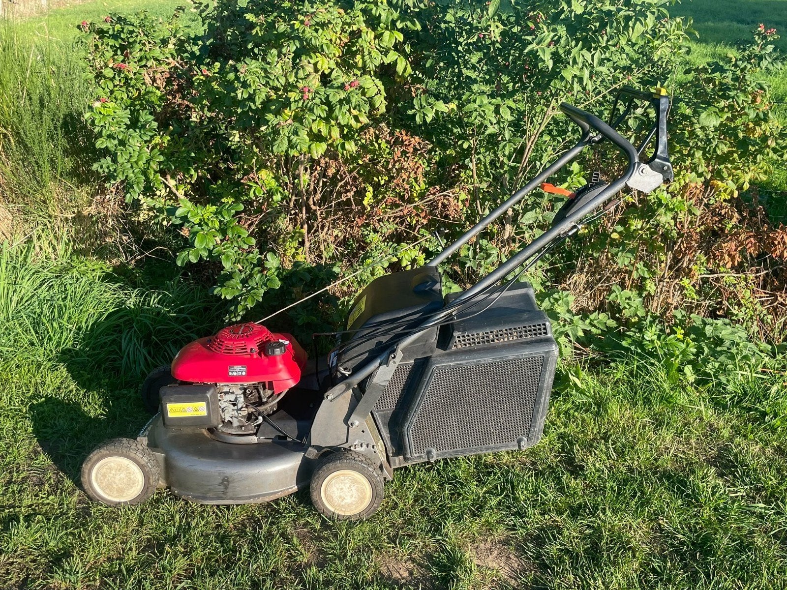 Honda HRD 536C Benzine Grasmaaier met Aandrijving, Opvangbak, Cirkelmaaier, Honda, Gebruikt