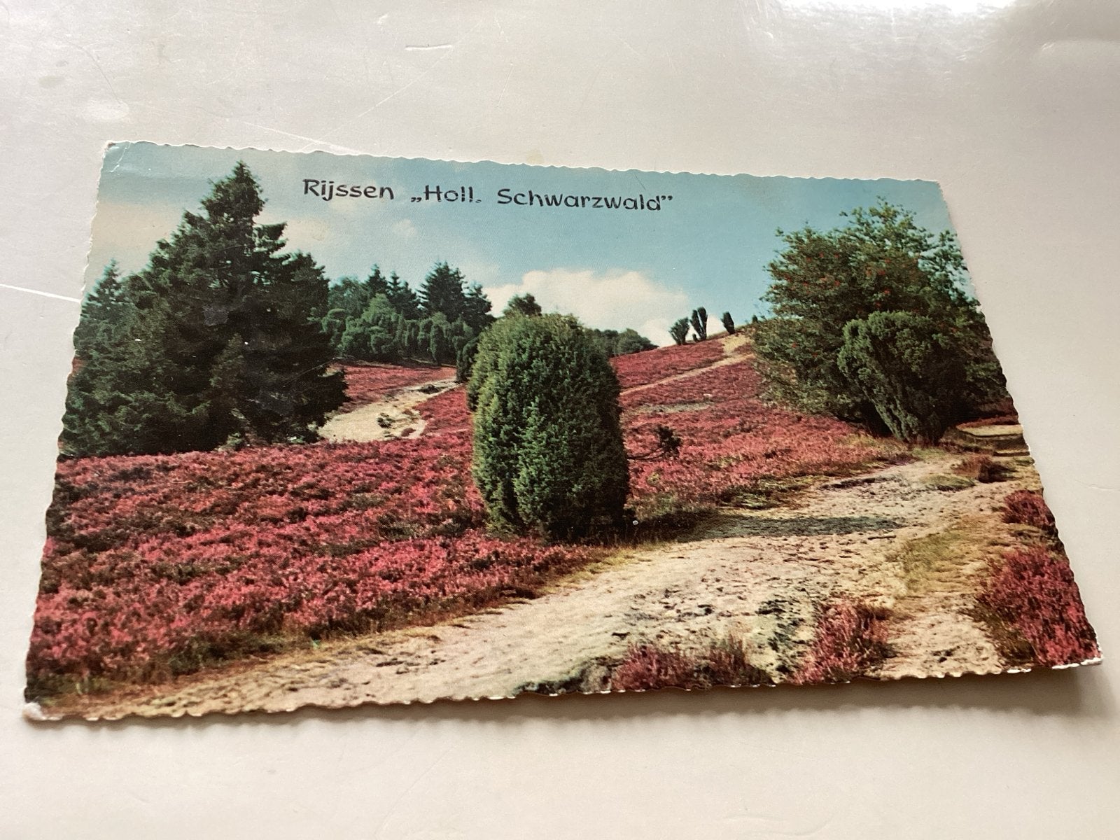 Ansichtkaart Rijssen "Holl. Schwarzwald" Gelopen, Ophalen of Verzenden, 1940 tot 1960, Gelopen, Overijssel
