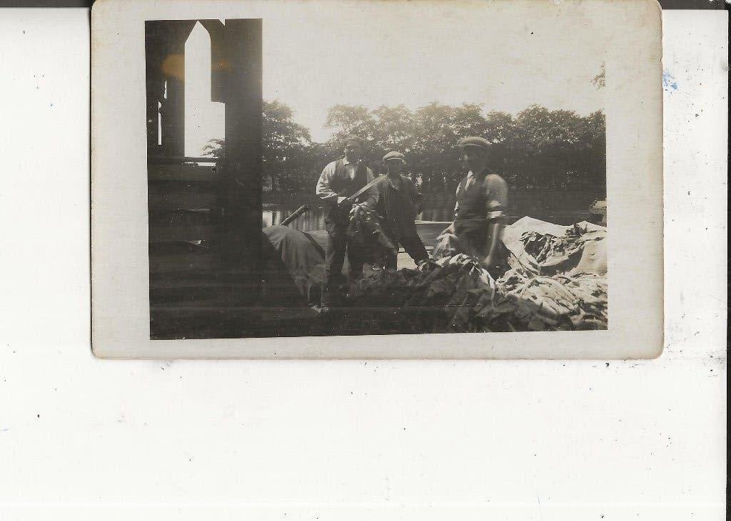 Westland Bloemkool kappen met bloemkoolmes Fotokaart, Ophalen of Verzenden, 1920 tot 1940, Ongelopen, Zuid-Holland
