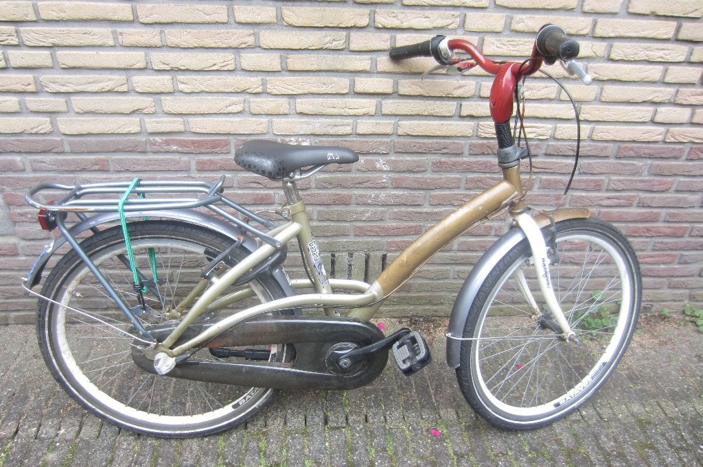 Batavus Cabana kinderfiets (meisjes) - 20 inch, Ophalen, Terugtraprem, Gebruikt, Batavus