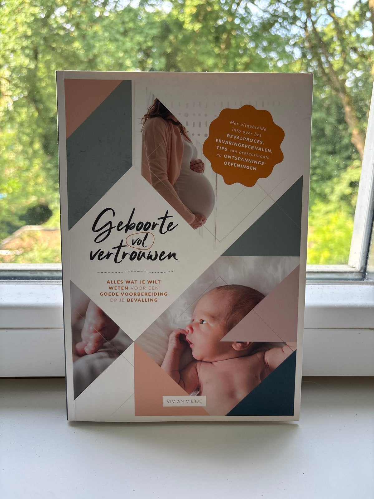 Geboorte vol vertrouwen - Alles voor een goede bevalling, Ophalen of Verzenden, Zo goed als nieuw, Zwangerschap en Bevalling