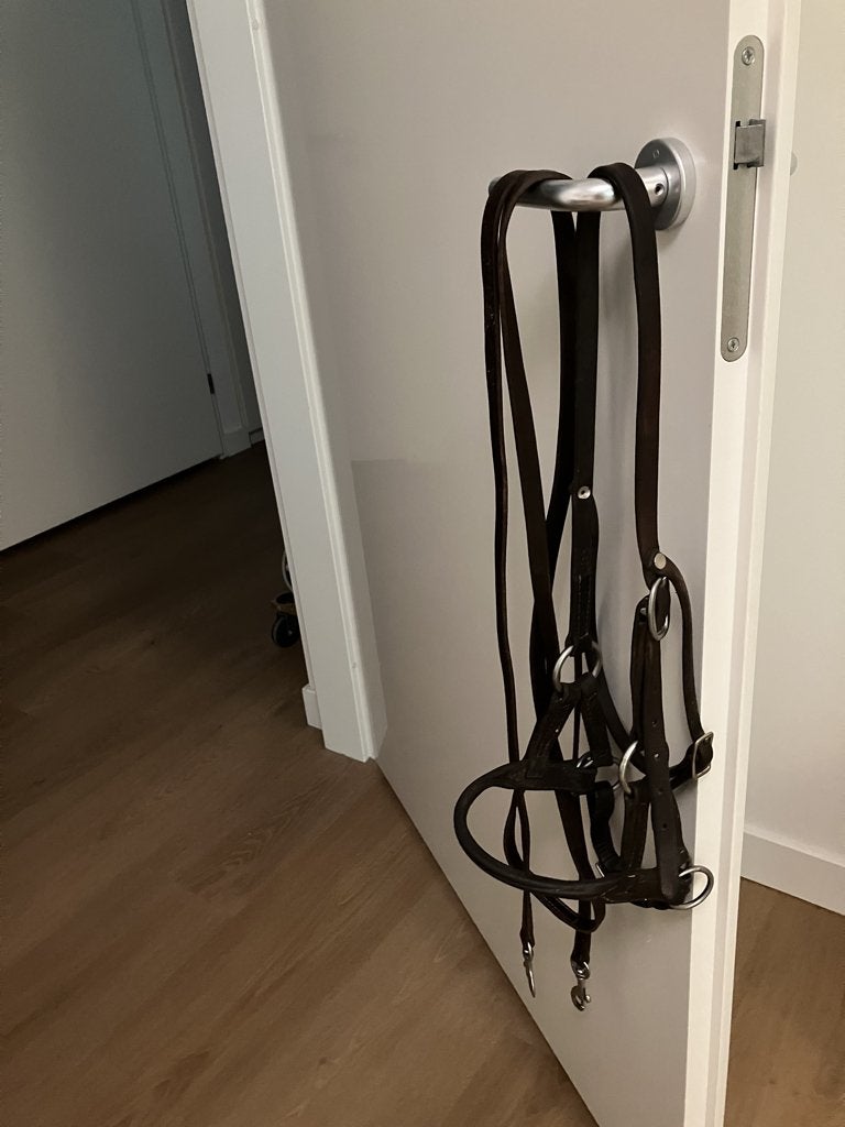 bitloos hoofdstel, Ophalen of Verzenden, Gebruikt, Overige soorten